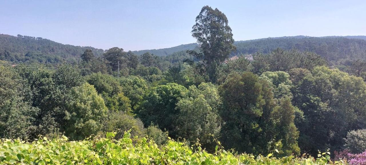 Green Paradise Glamping Covas  Extérieur photo
